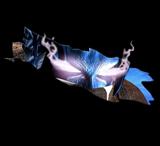 LuciferShark